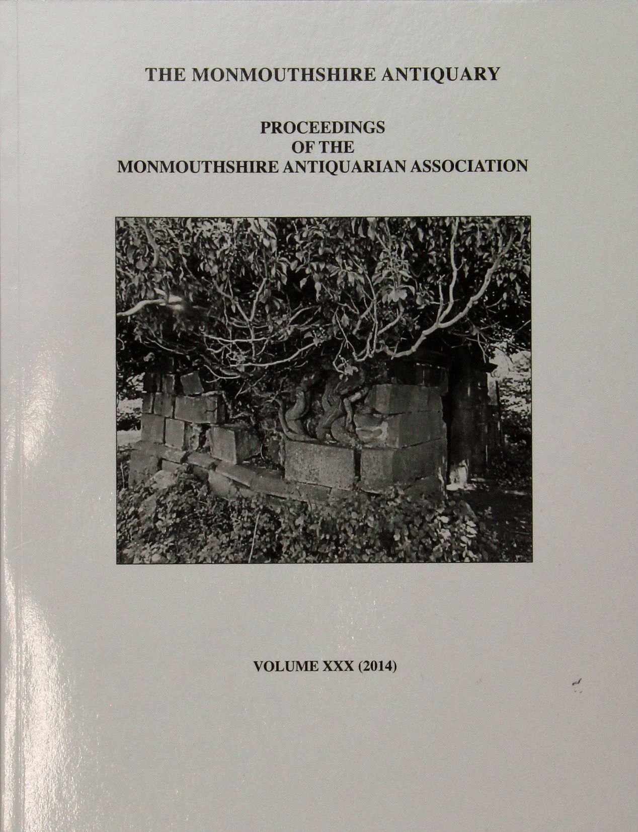 The Monmouthshire Antiquary Volume 30, 2014, Free (Donation of at least £2.00 to cover postage)